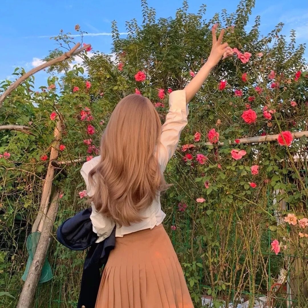 叶少给力点,少夫人又要离婚了